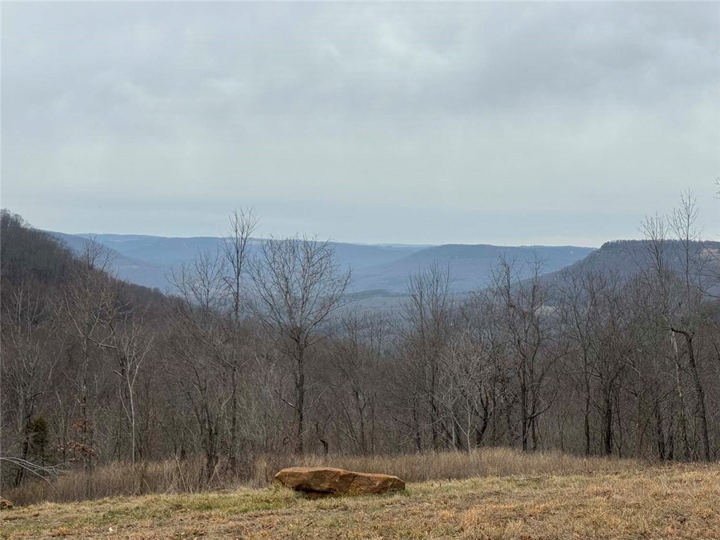 main property photo 12