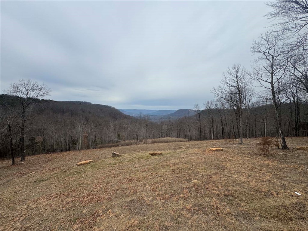 main property photo 37