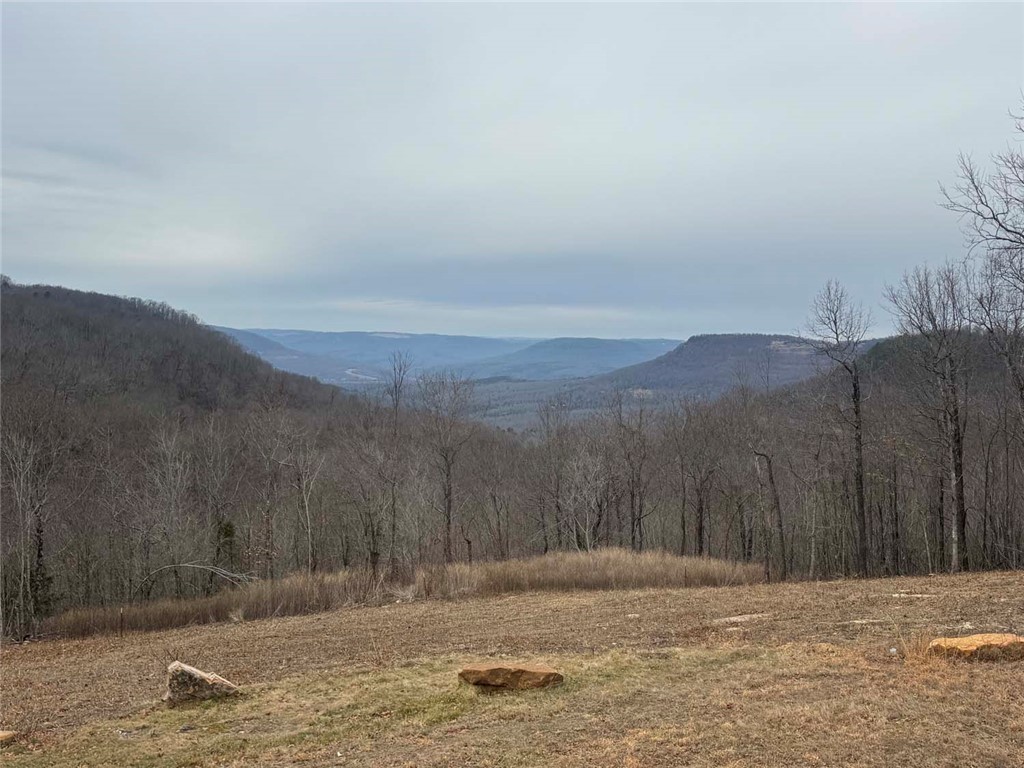 main property photo 39