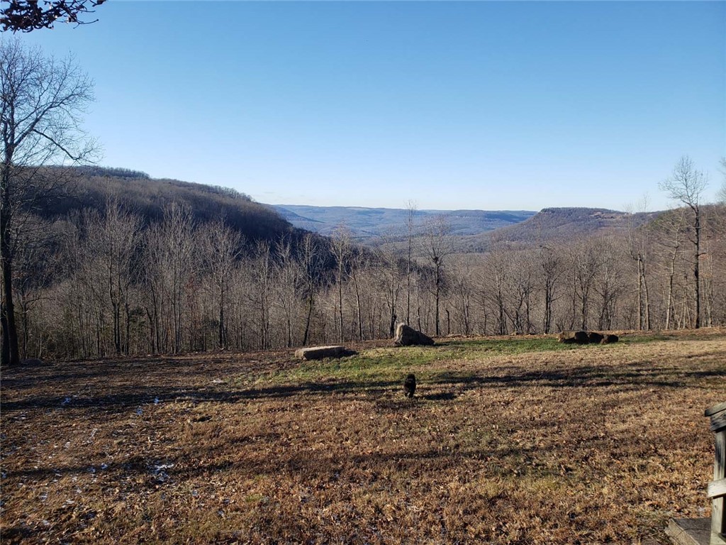 main property photo 5
