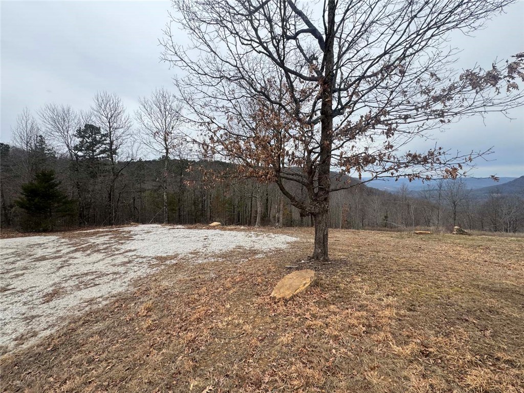 main property photo 53
