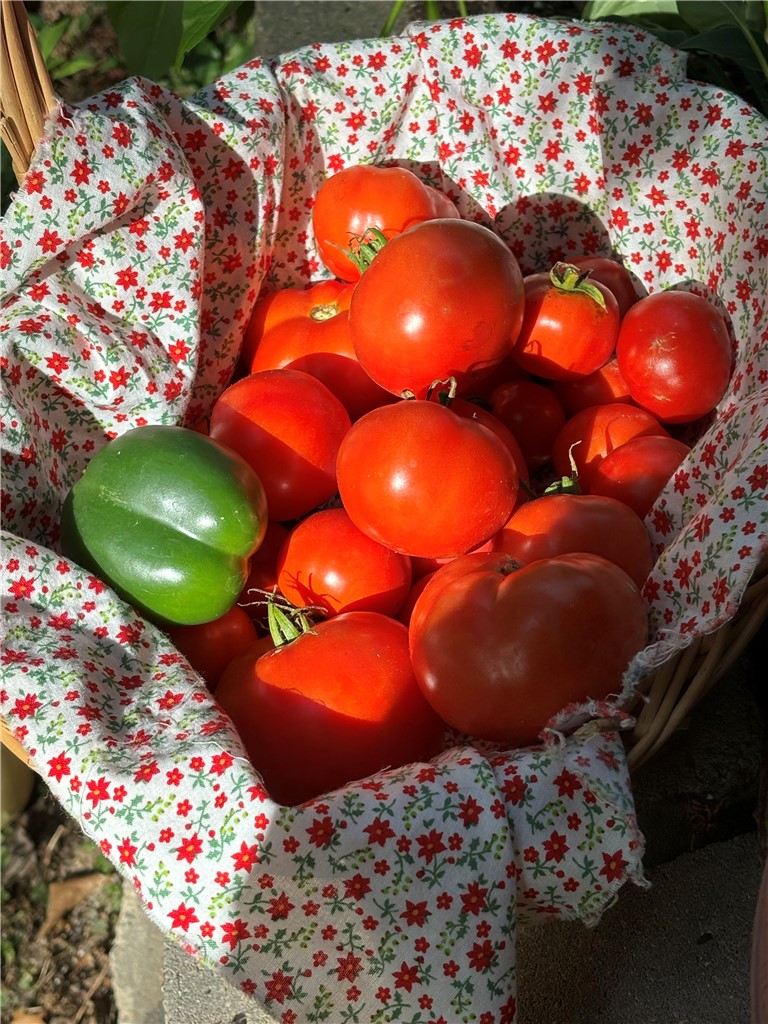 main property photo 25