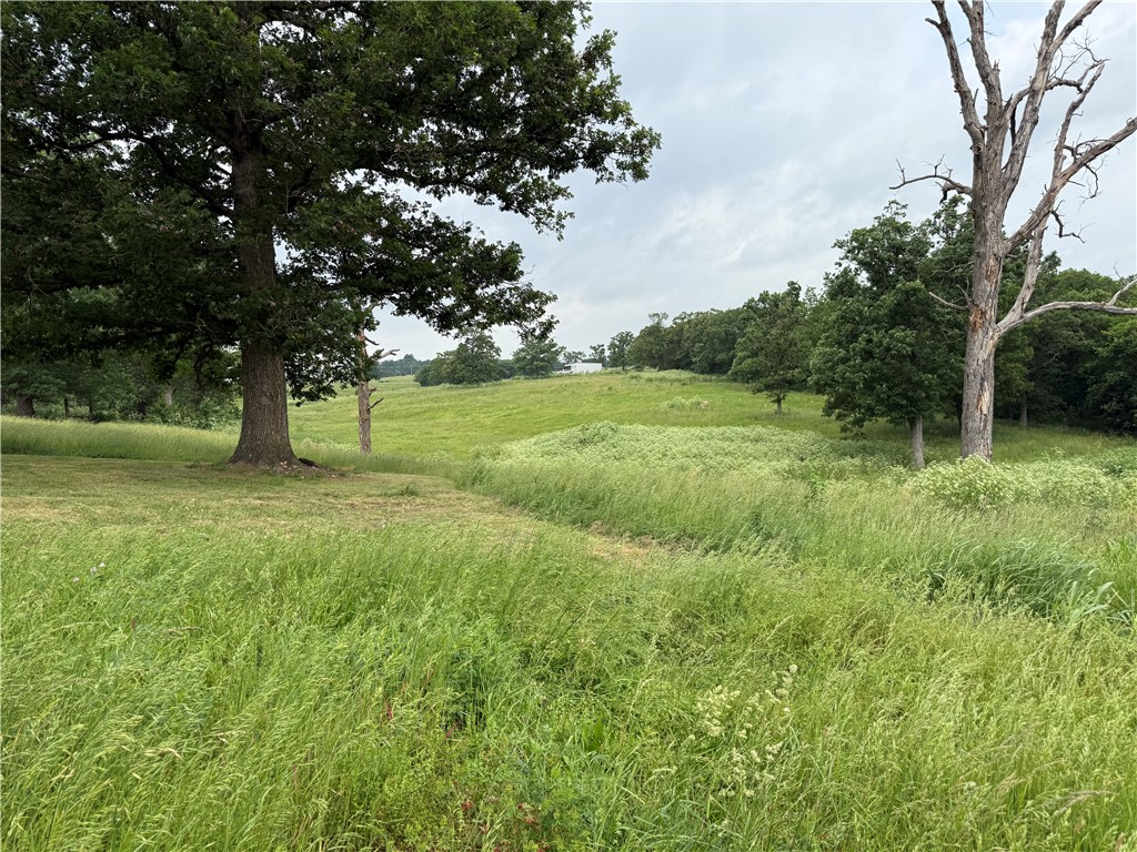 main property photo 55