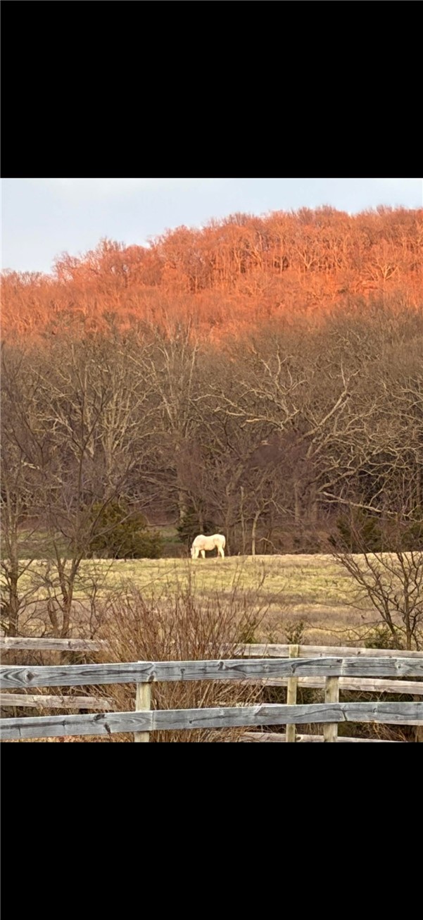 main property photo 52