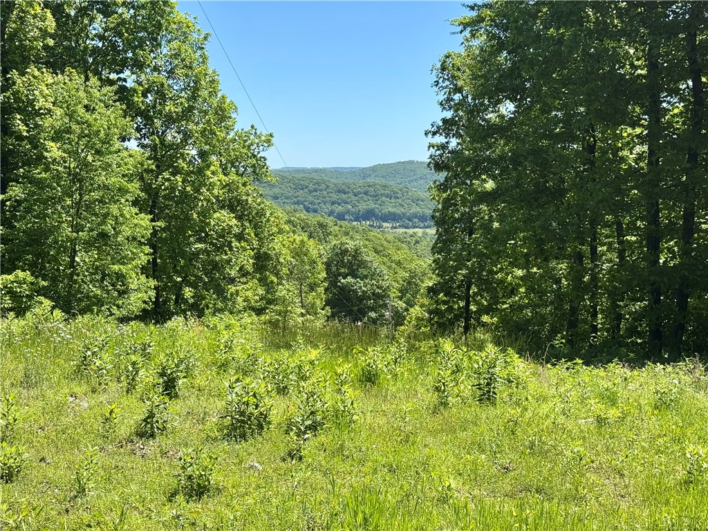 main property photo 6