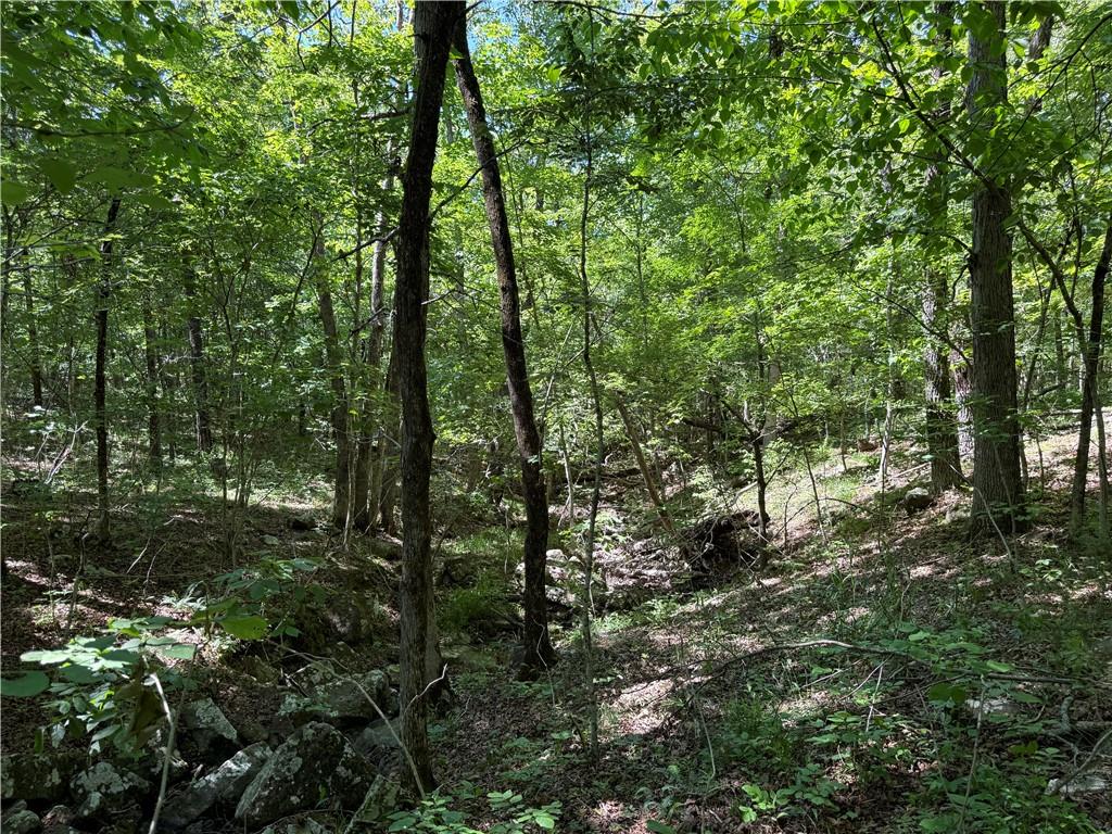 main property photo 24