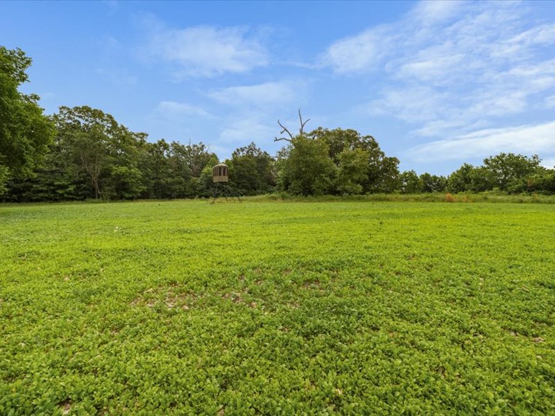 main property photo 15