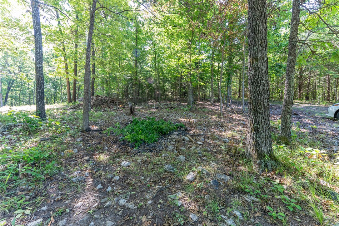main property photo 17