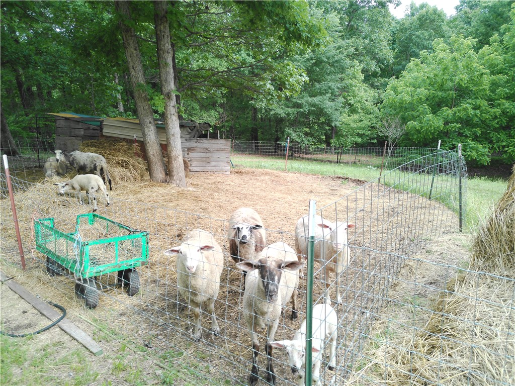 main property photo 25