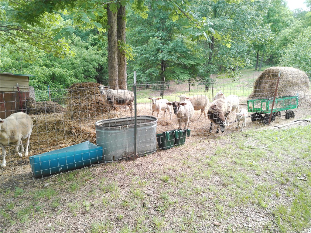 main property photo 26