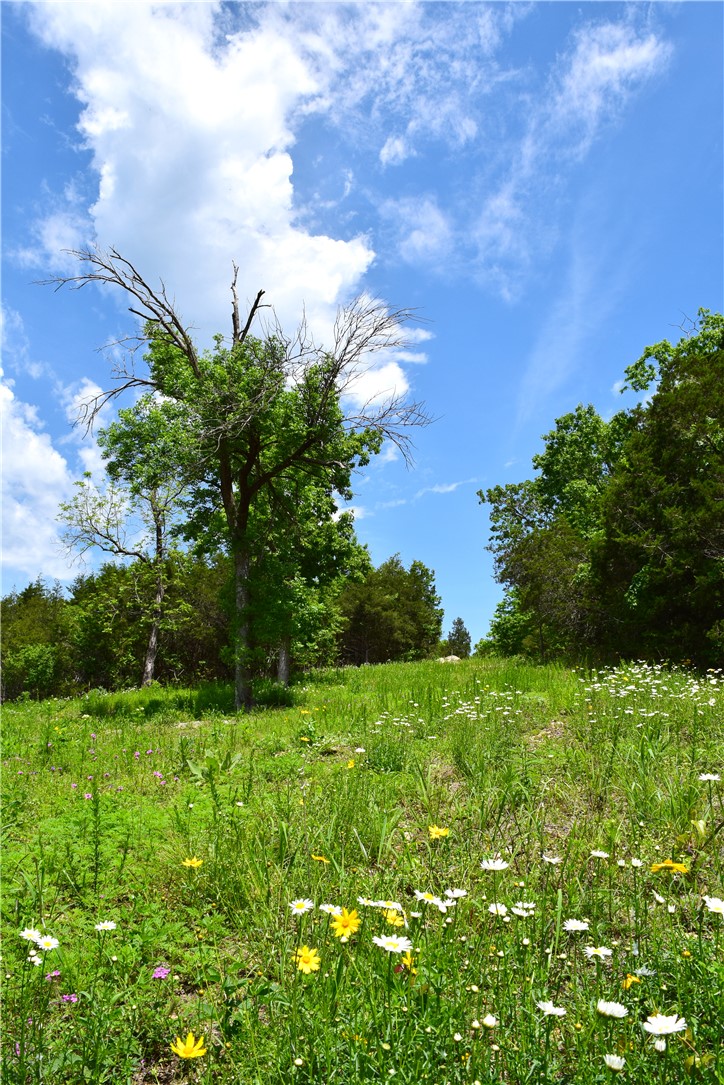 main property photo 43