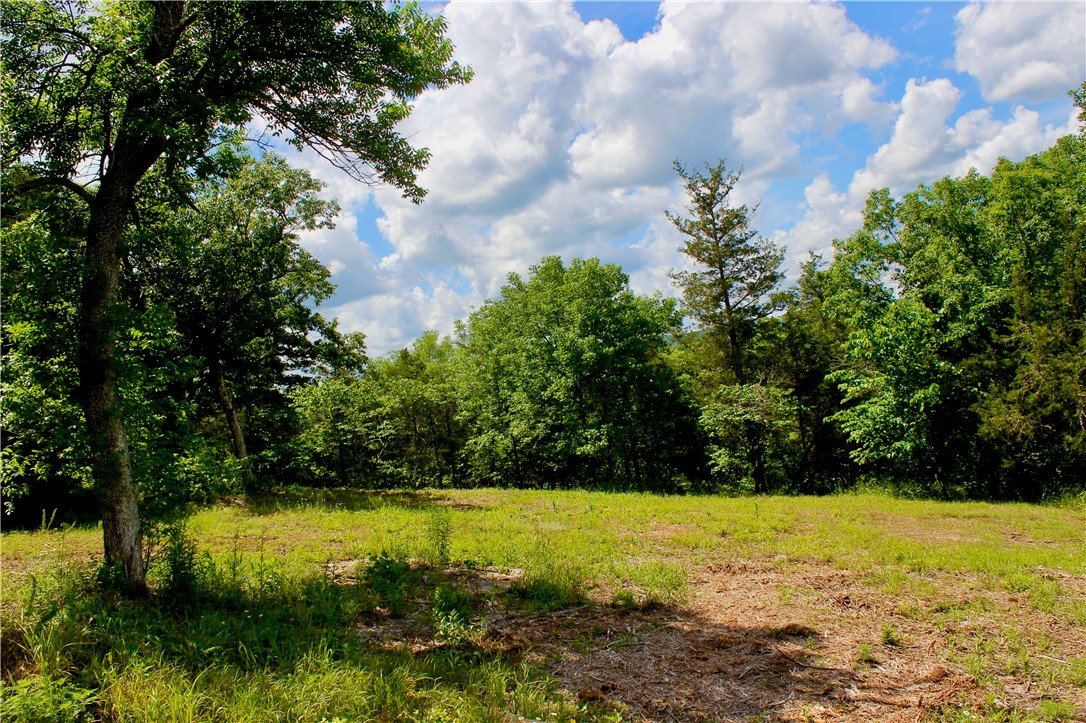 main property photo 44