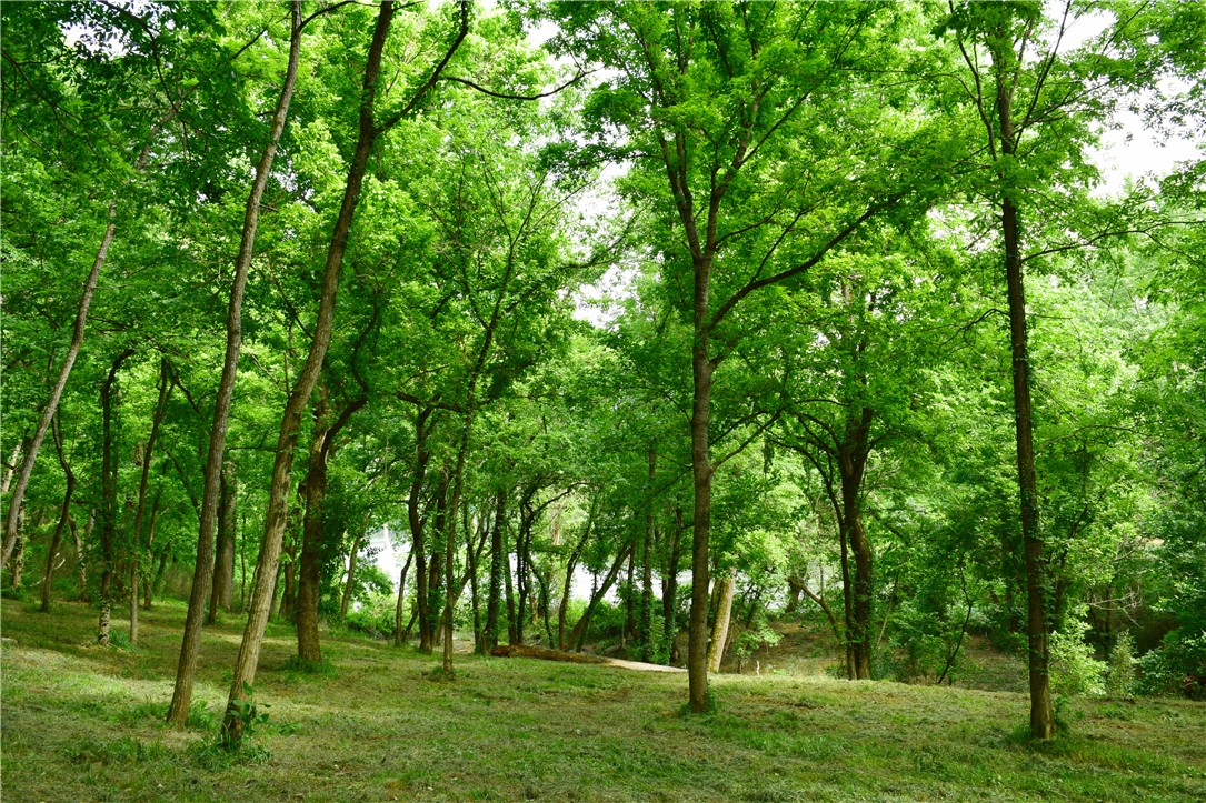 main property photo 46