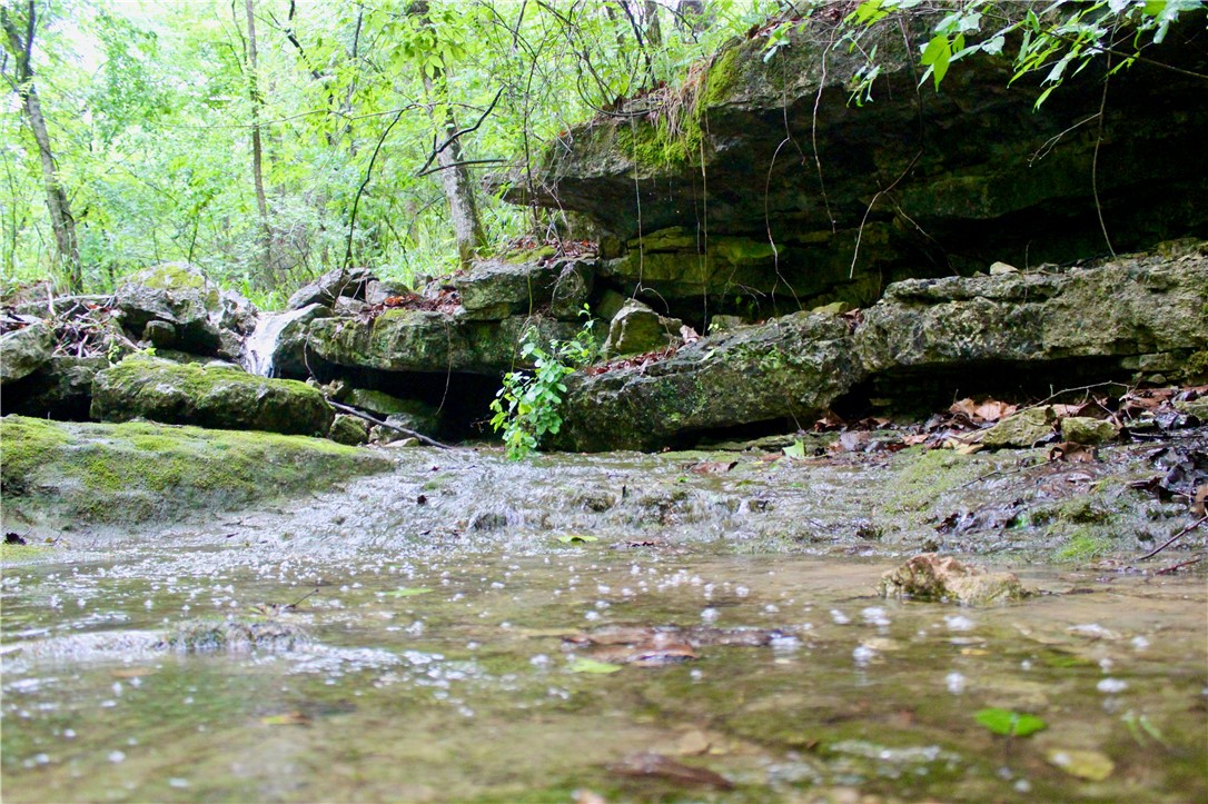 main property photo 55