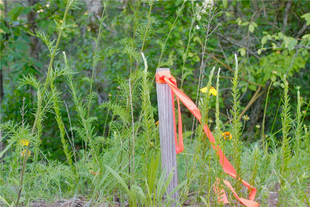 main property photo 59