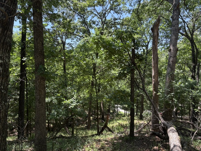 main property photo 10
