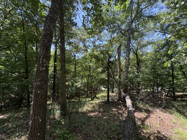 main property photo 12