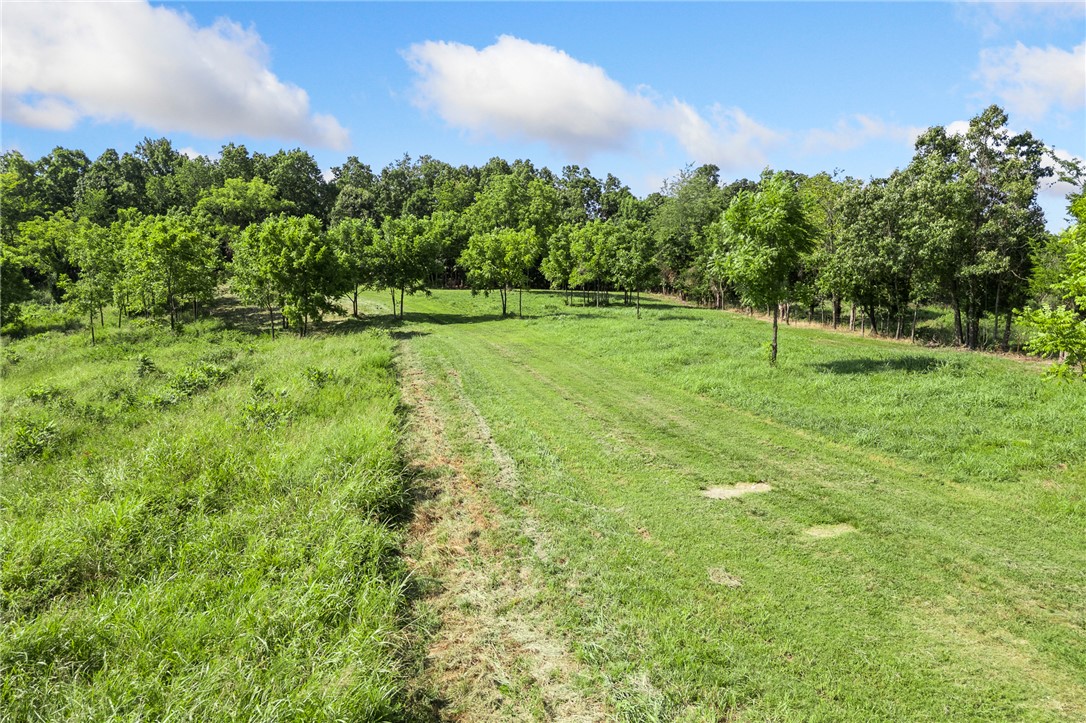 main property photo 47