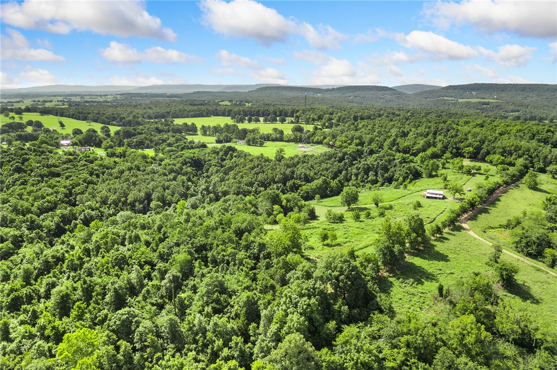 main property photo 49