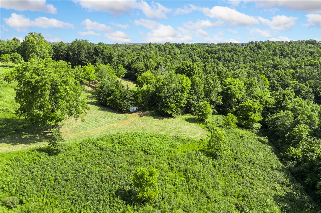 main property photo 52