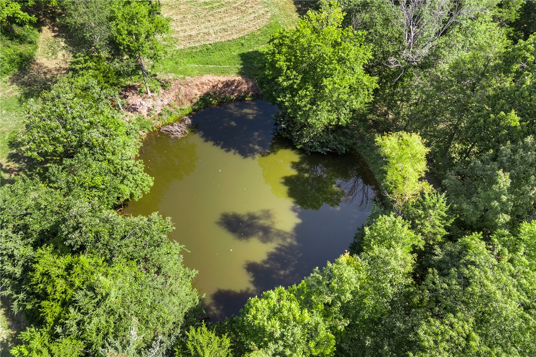 main property photo 54