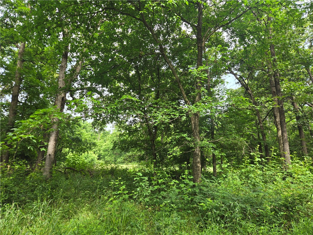main property photo 29