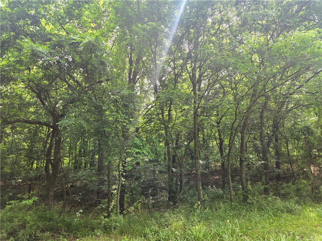 main property photo 36