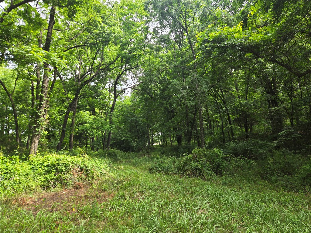 main property photo 38
