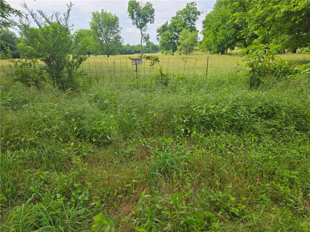 main property photo 41