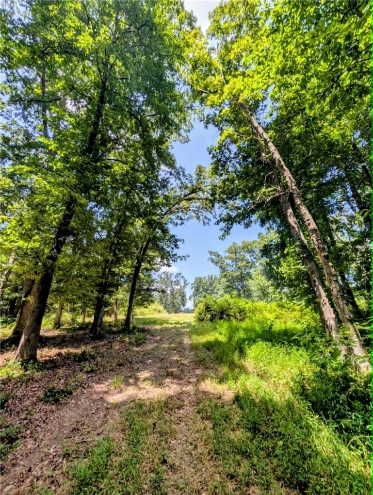 main property photo 54