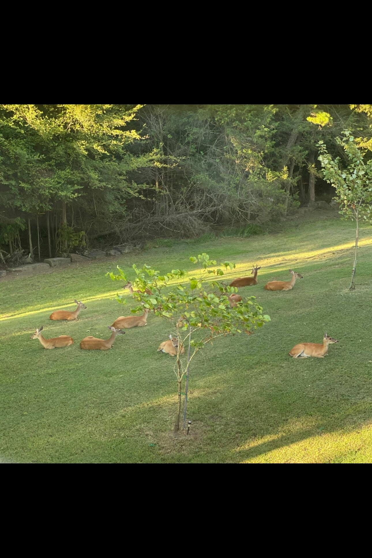 main property photo 43