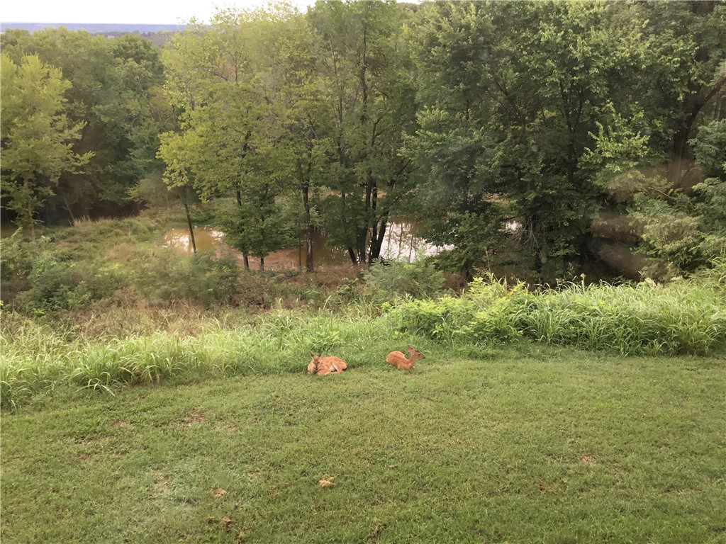 main property photo 52