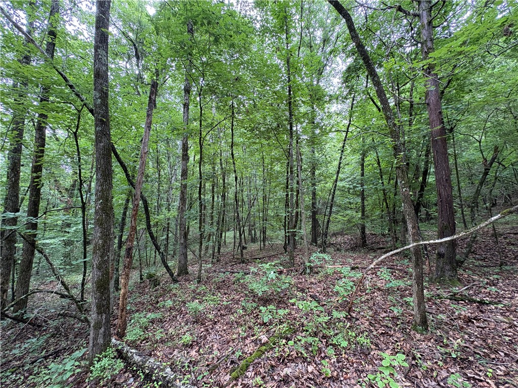 main property photo 21
