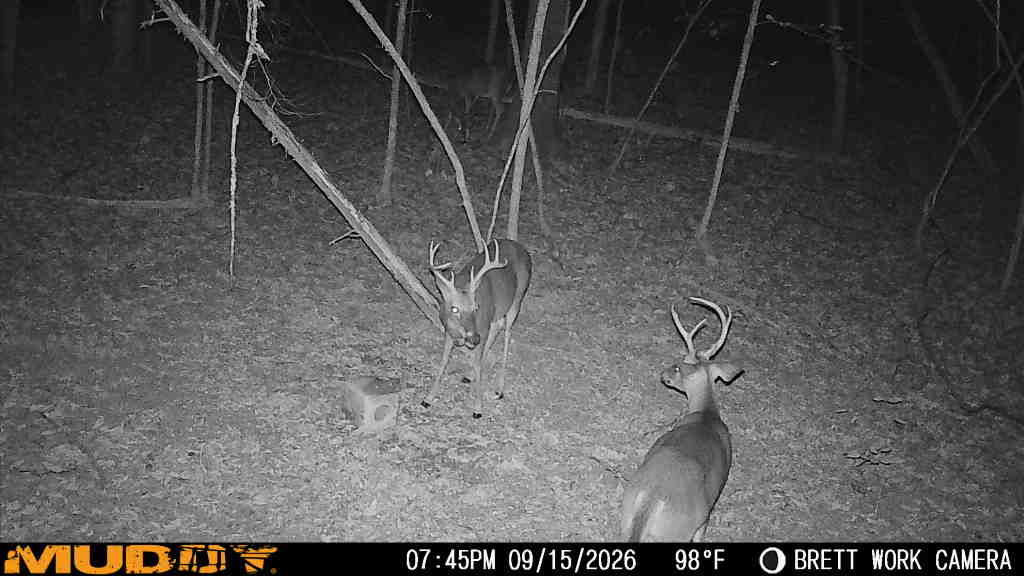 main property photo 30