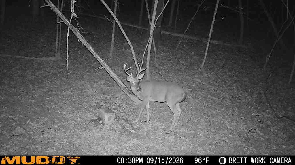 main property photo 31