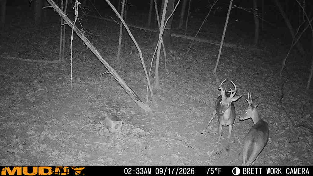 main property photo 34