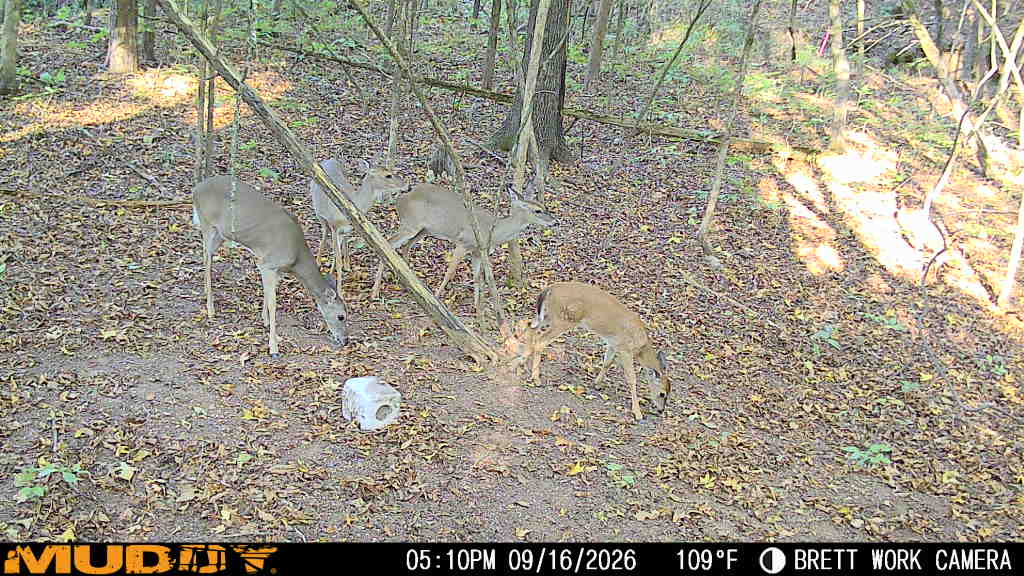 main property photo 35