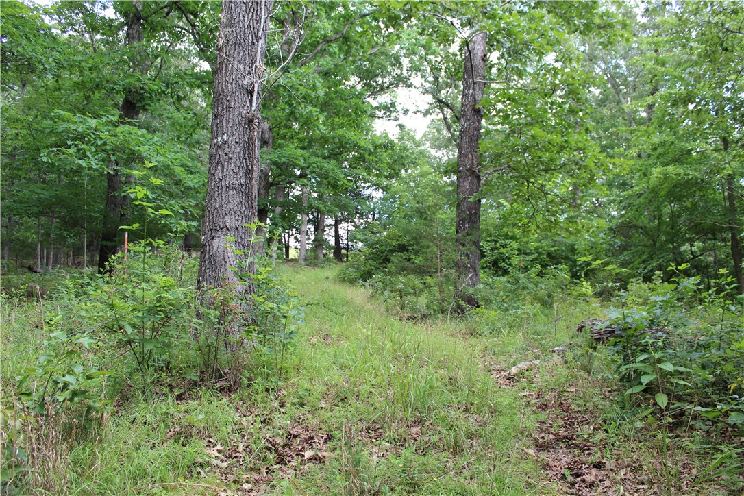 main property photo 22