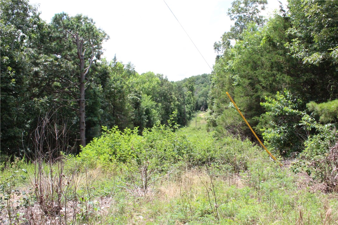 main property photo 26
