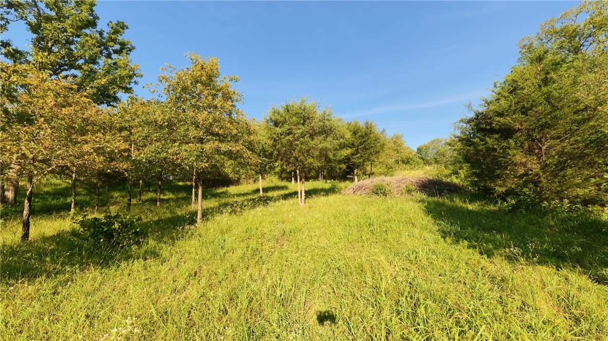 main property photo 47