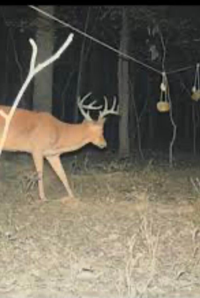 main property photo 14