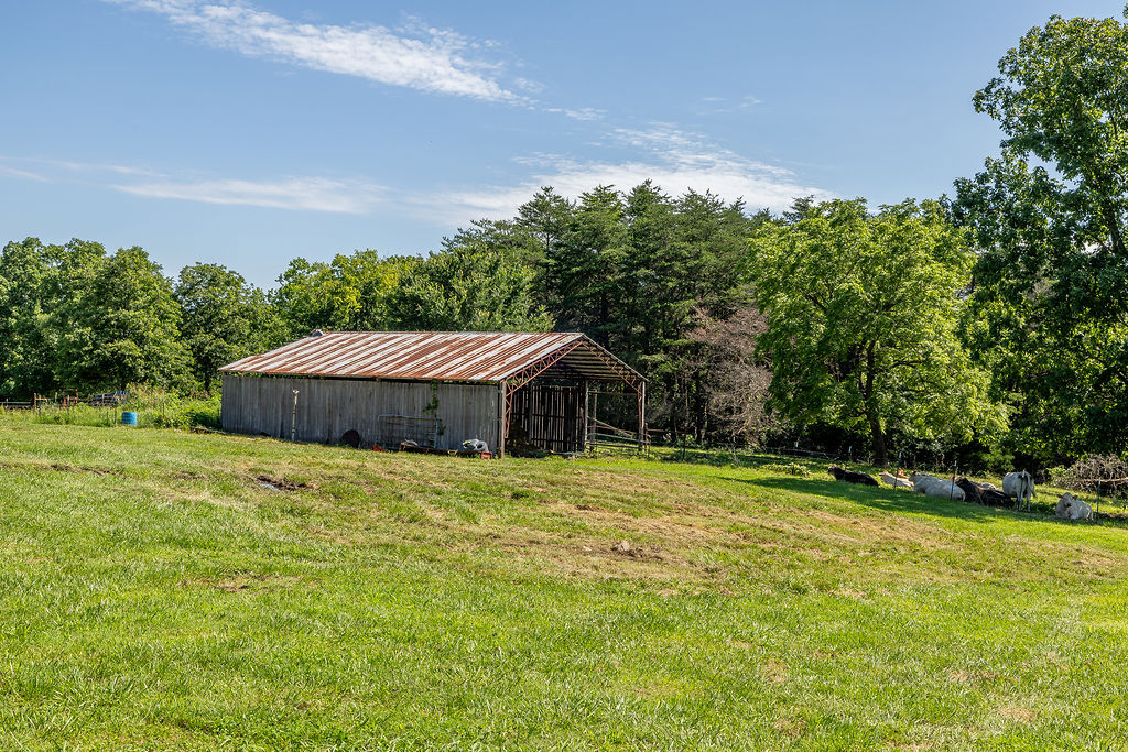 main property photo 31