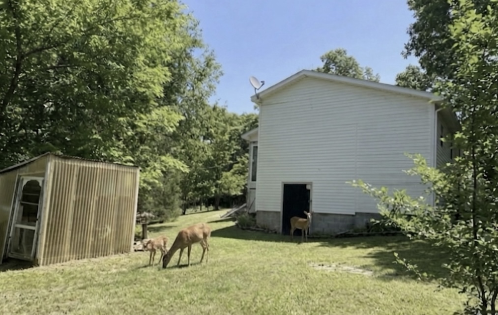main property photo 12
