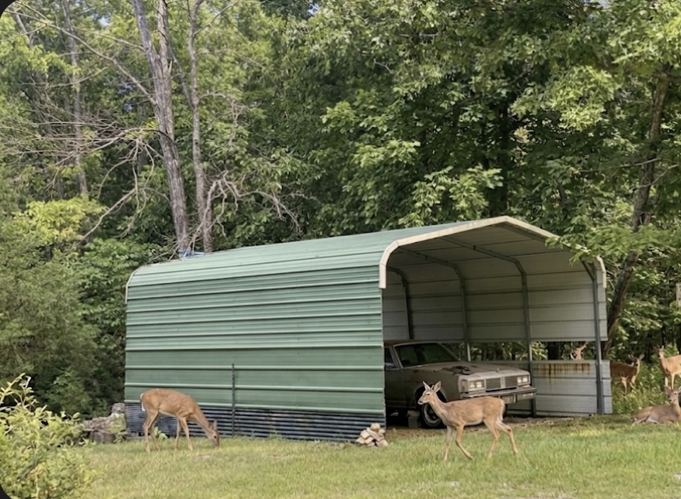 main property photo 14