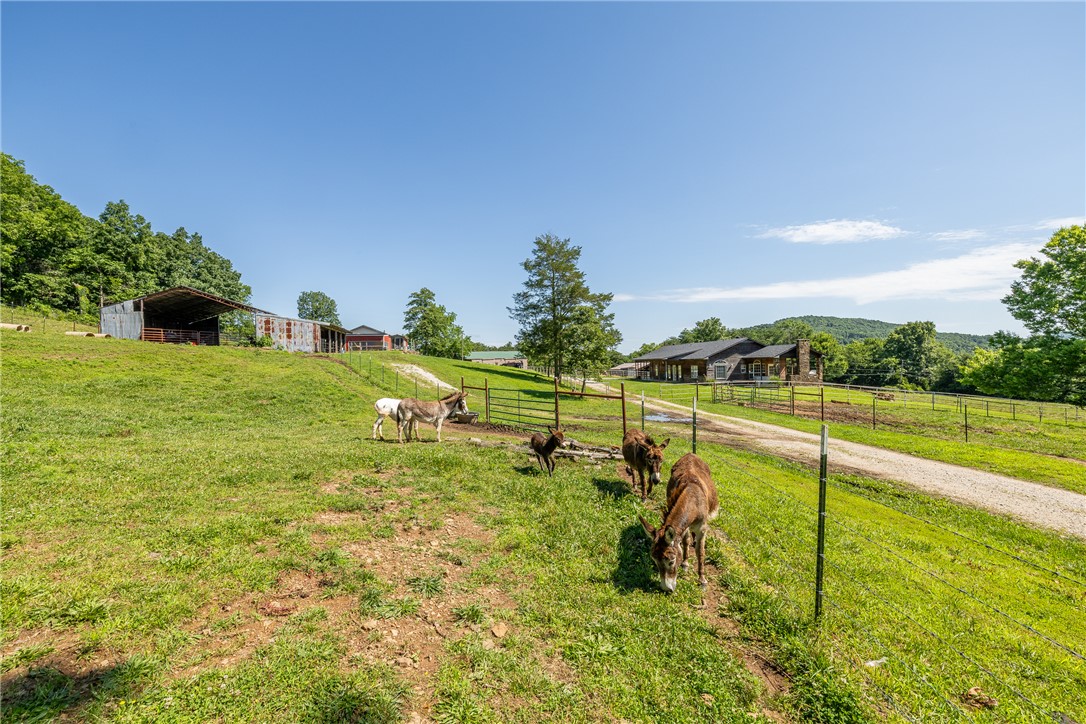 main property photo 39