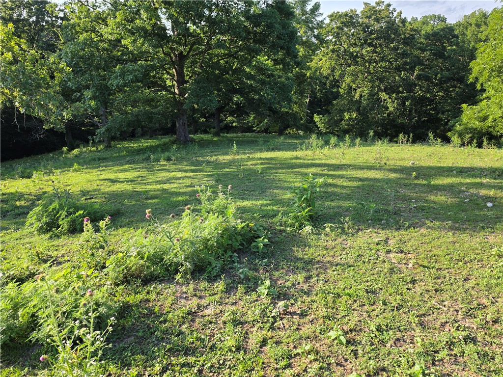 main property photo 4