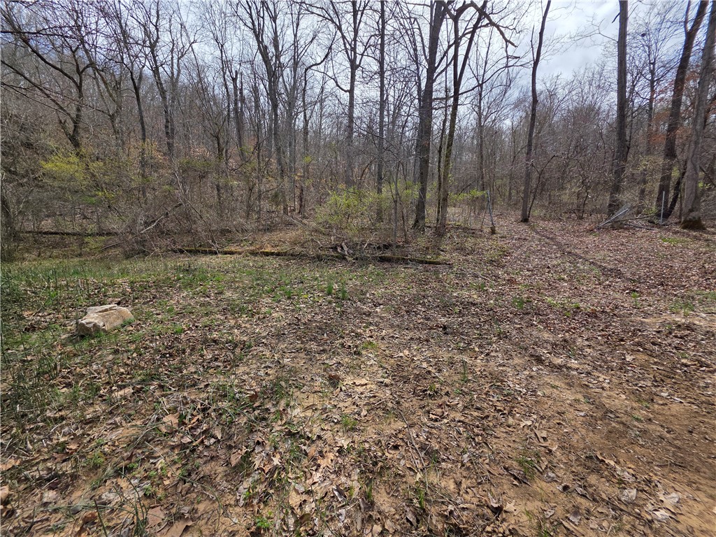 main property photo 15