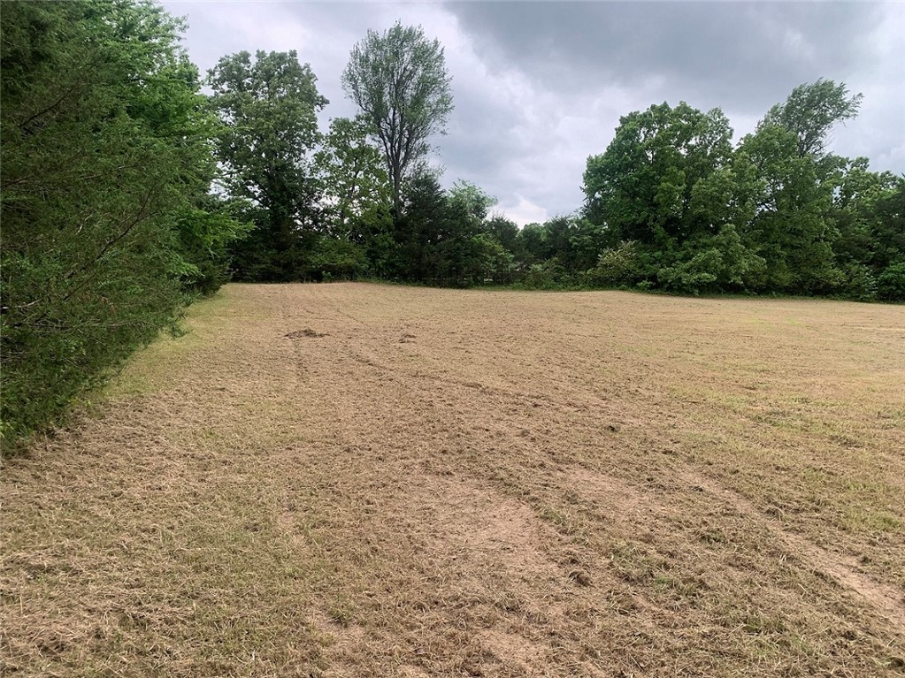main property photo 6