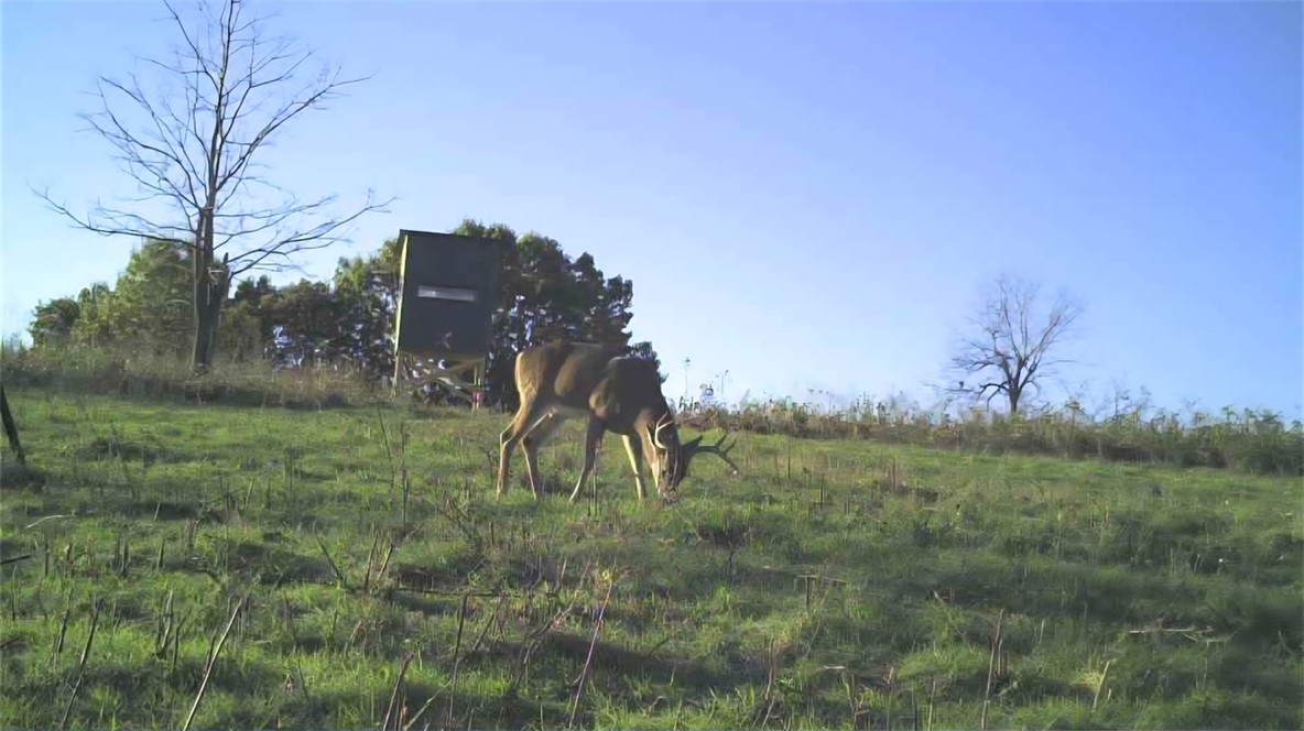 main property photo 32