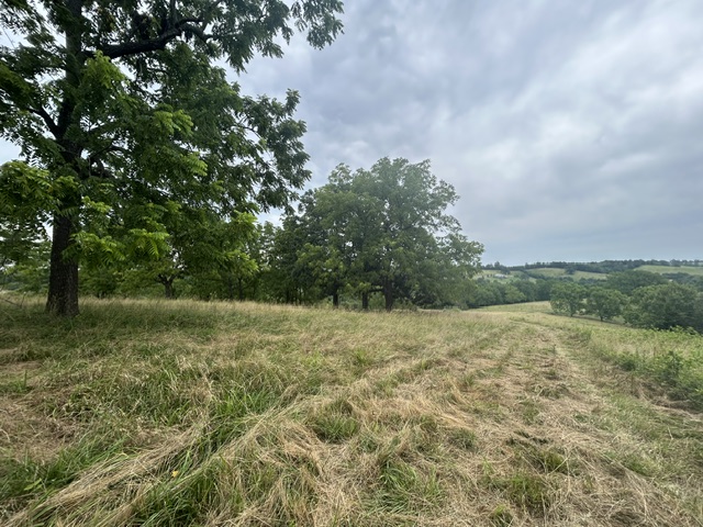 main property photo 35